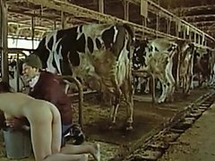 Funny Japanese Scene Asian Hd Porn Video 4f Xhamster